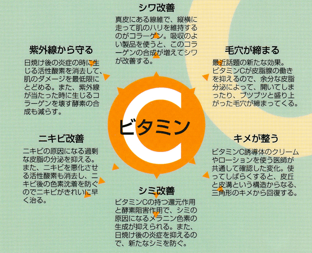 ビタミンCの効果(シワ・シミ・ニキビ改善など)をまとめた図解